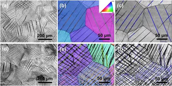 想更深刻的理解不斷問鼎金屬頂刊且熱度不減的TWIP效應(yīng)？